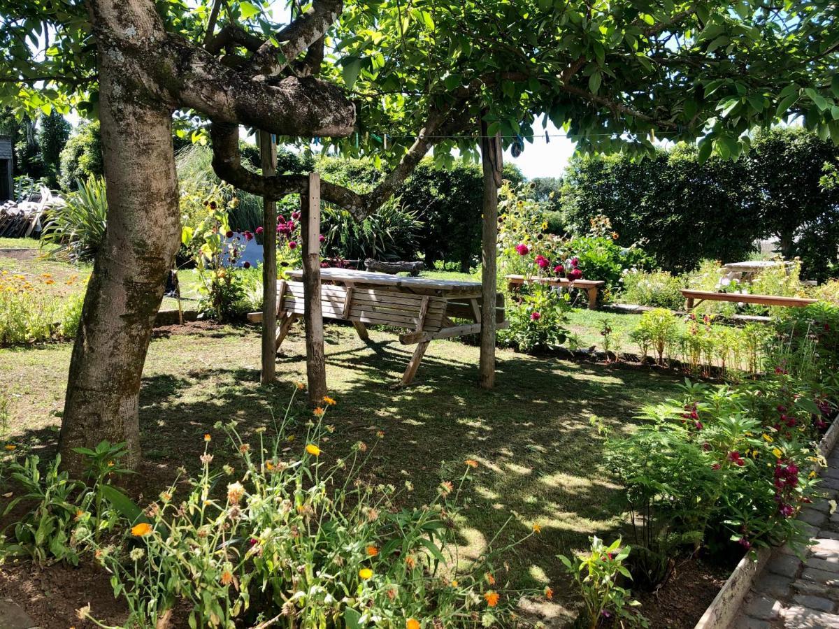 Quinta Dos Sabores Farm Houses Рибейра-Гранди Экстерьер фото